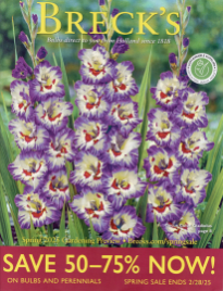 Breck's Flower Catalog