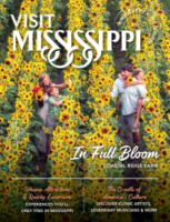 Mississippi Travel Guide