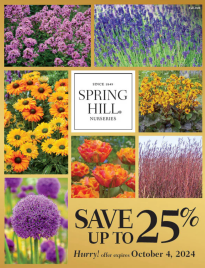 Spring Hill Catalog