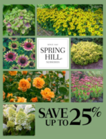 Spring Hill Catalog